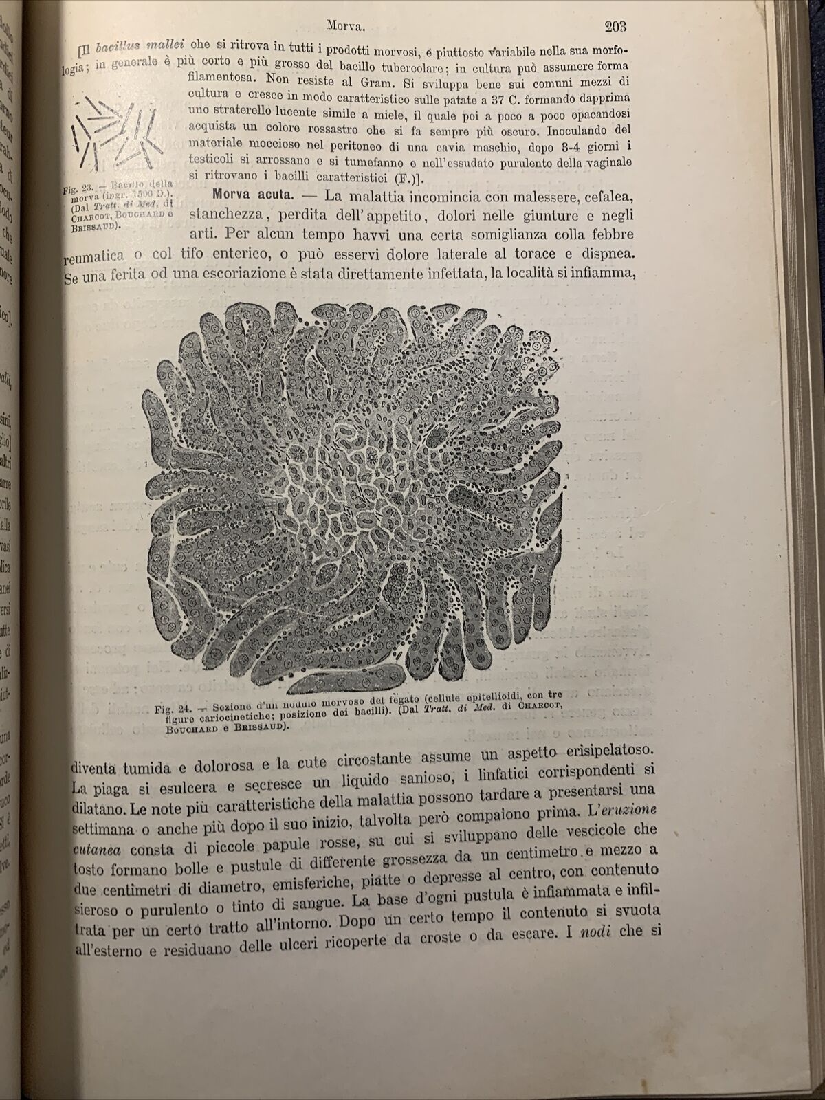 MANUALE PRATICO MEDICINA INTERNA - FEDERICO TAYLOR. UTET 1911. 2 VOLUMI #