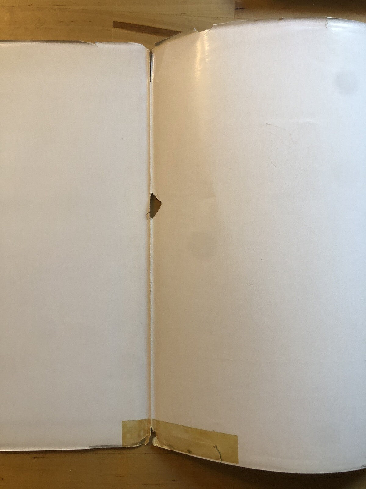 Chiese e Santuari della montagna Bolognese, G. Rivani. Tamari edizioni 1965