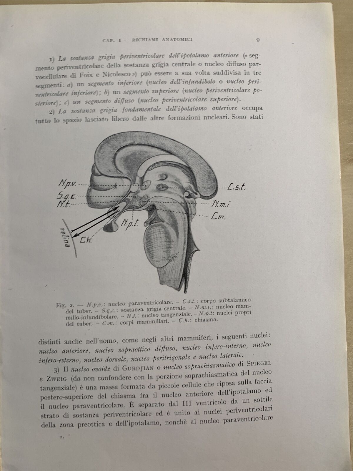 FISIOPATOLOGIA E CLINICA OCULO - DIENCEFALICA. Alajmo, Rubino 1952. Ariani #