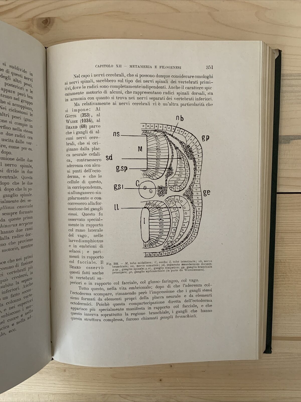 ANATOMIA E FISIOLOGIA DELL'OCCHIO NELLA SERIE ANIMALE - Giuseppe Ovio 1925 #