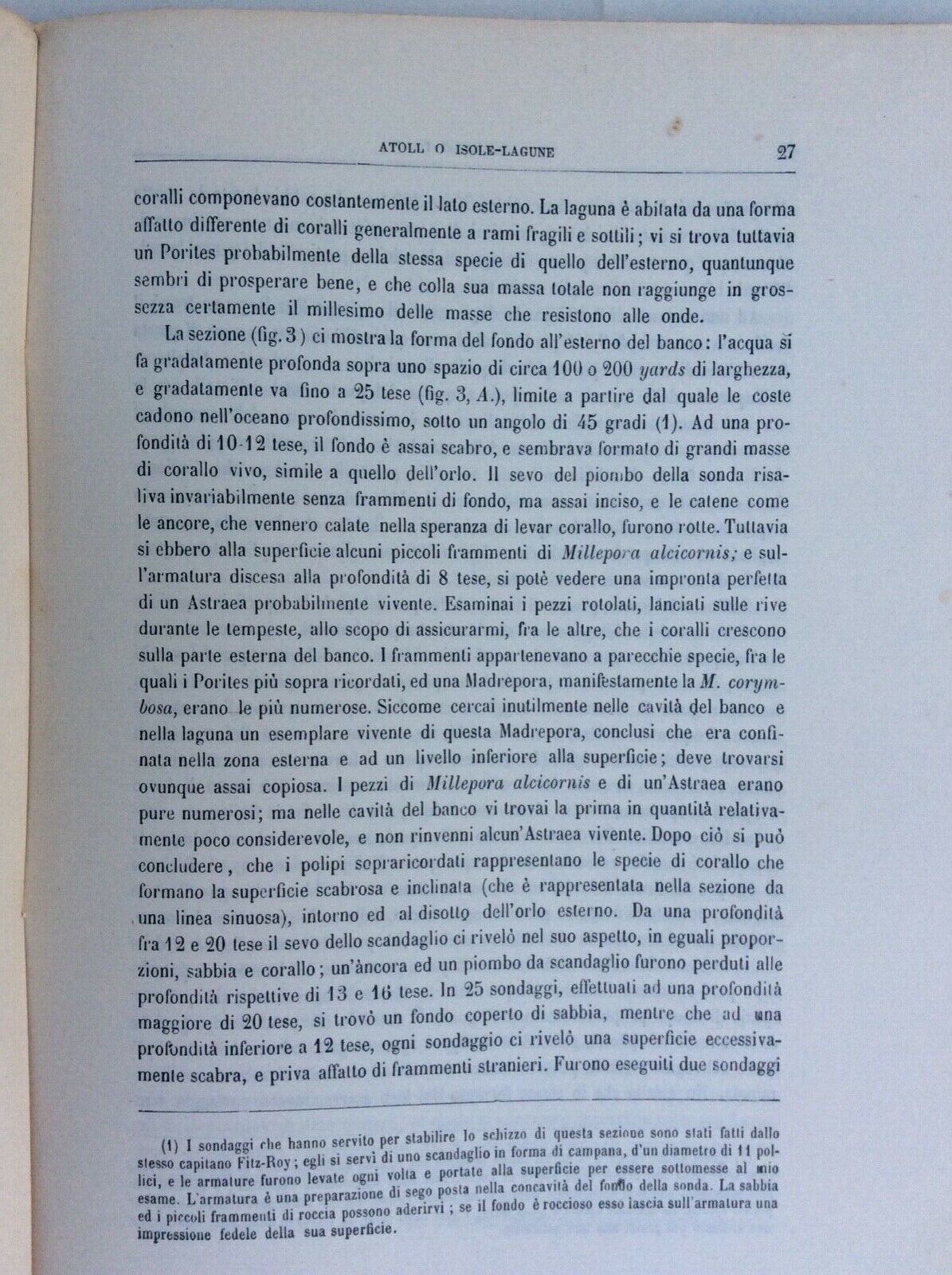 SULLA STRUTTURA DISPOSIZIONE DEI BANCHI DI CORALLO, DARWIN, UNIONE TIPOGRAFICO