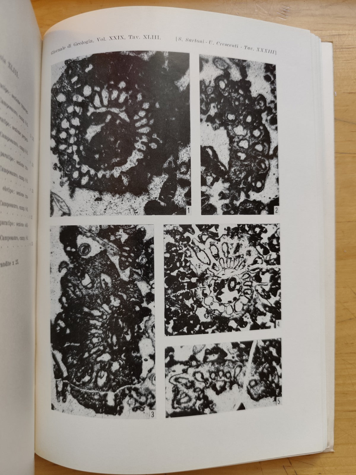 Giornale di geologia, museo geologico Bologna - Raimondo Selli, serie 2ª XXIX