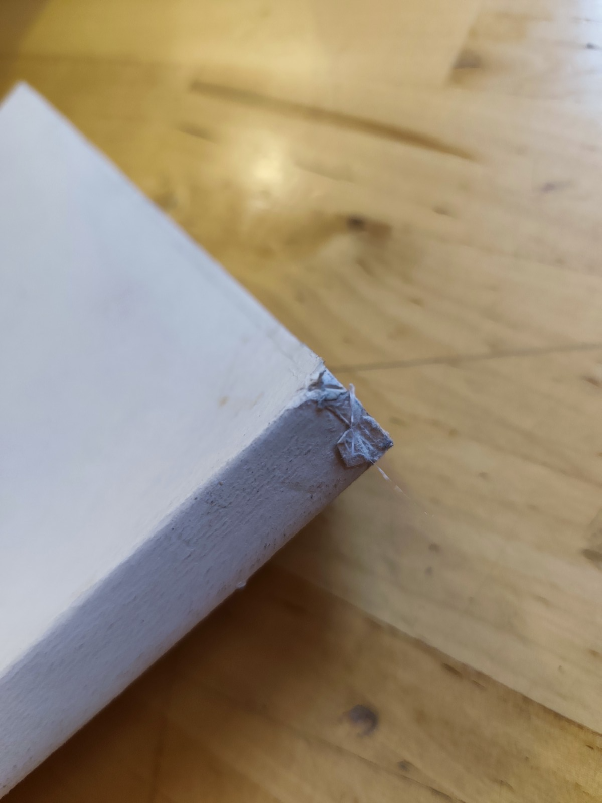 Leggende Bolognesi - Athos Vianelli, Dalla Volpe 1991