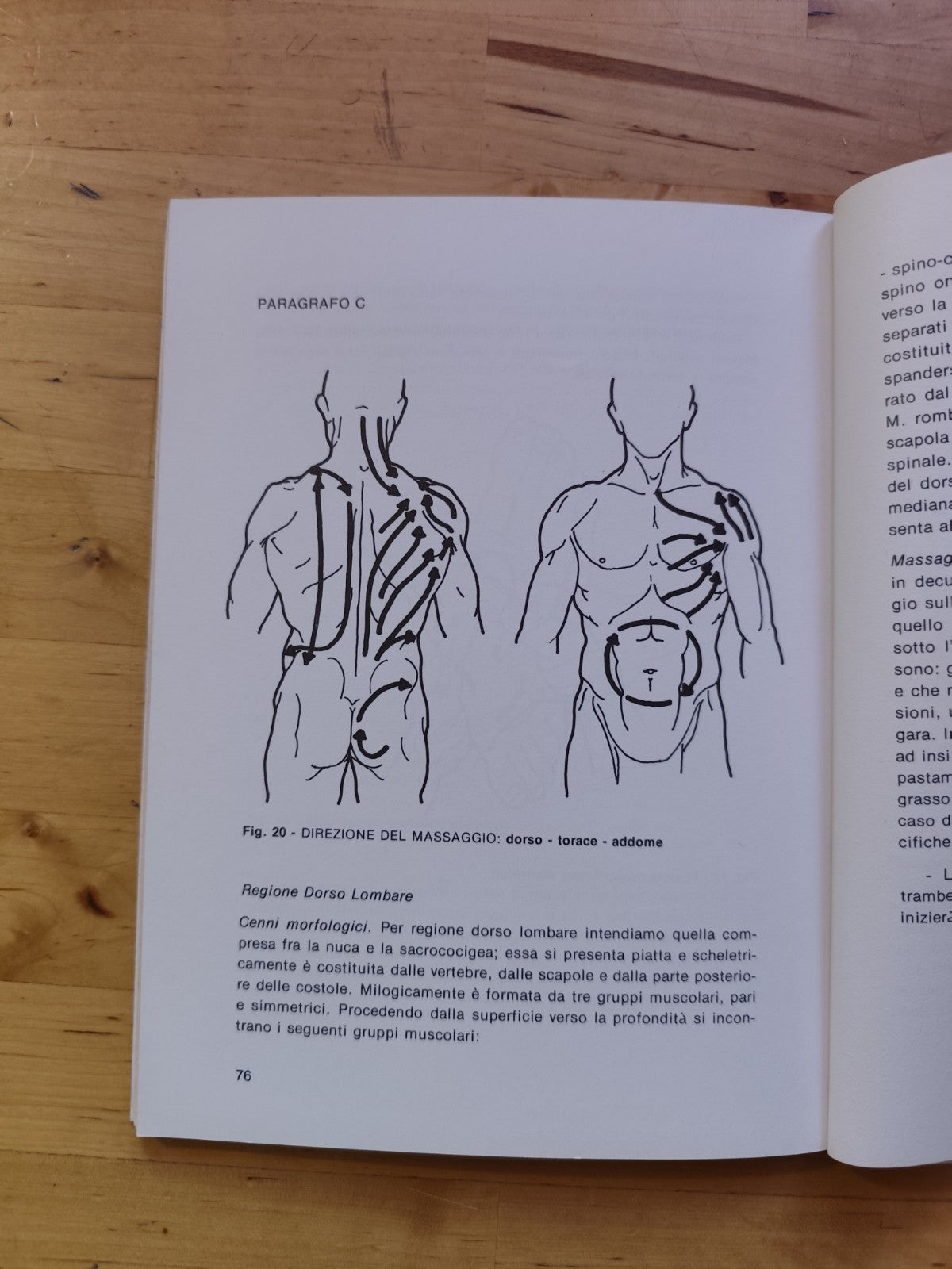 Principi e tecniche del massaggio, G. Lusi - G. Properzi. Marcello Ferri ed.