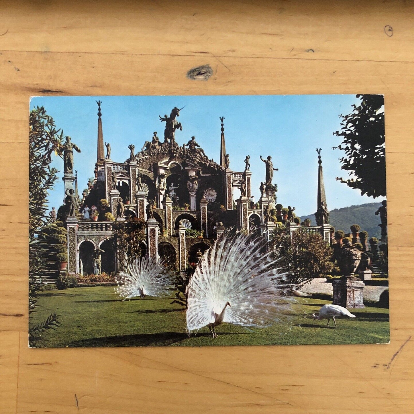 Cartolina ISOLA BELLA - LAGO MAGGIORE 1982 VIAGGIATA