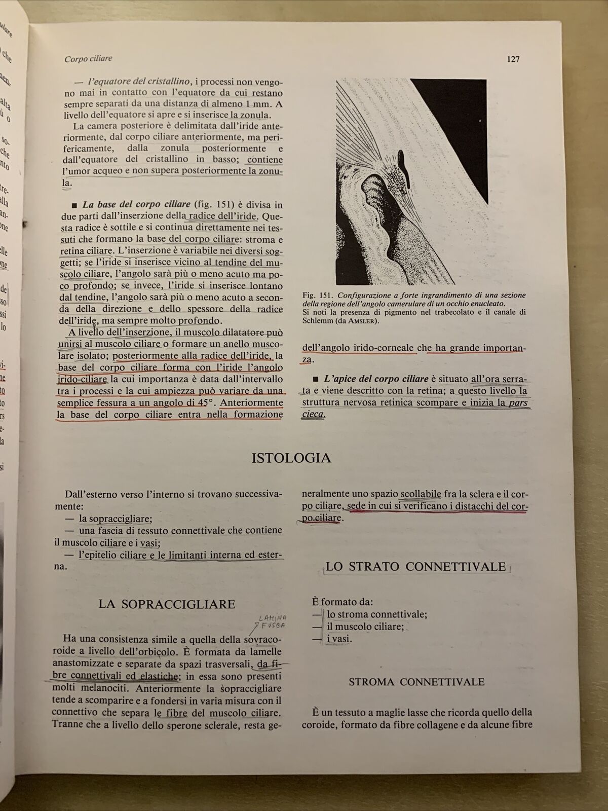 MANUALE DI ANATOMIA E ISTOLOGIA DELL'OCCHIO - SARAUX, LEMASSON, OFFRET. MASSON #