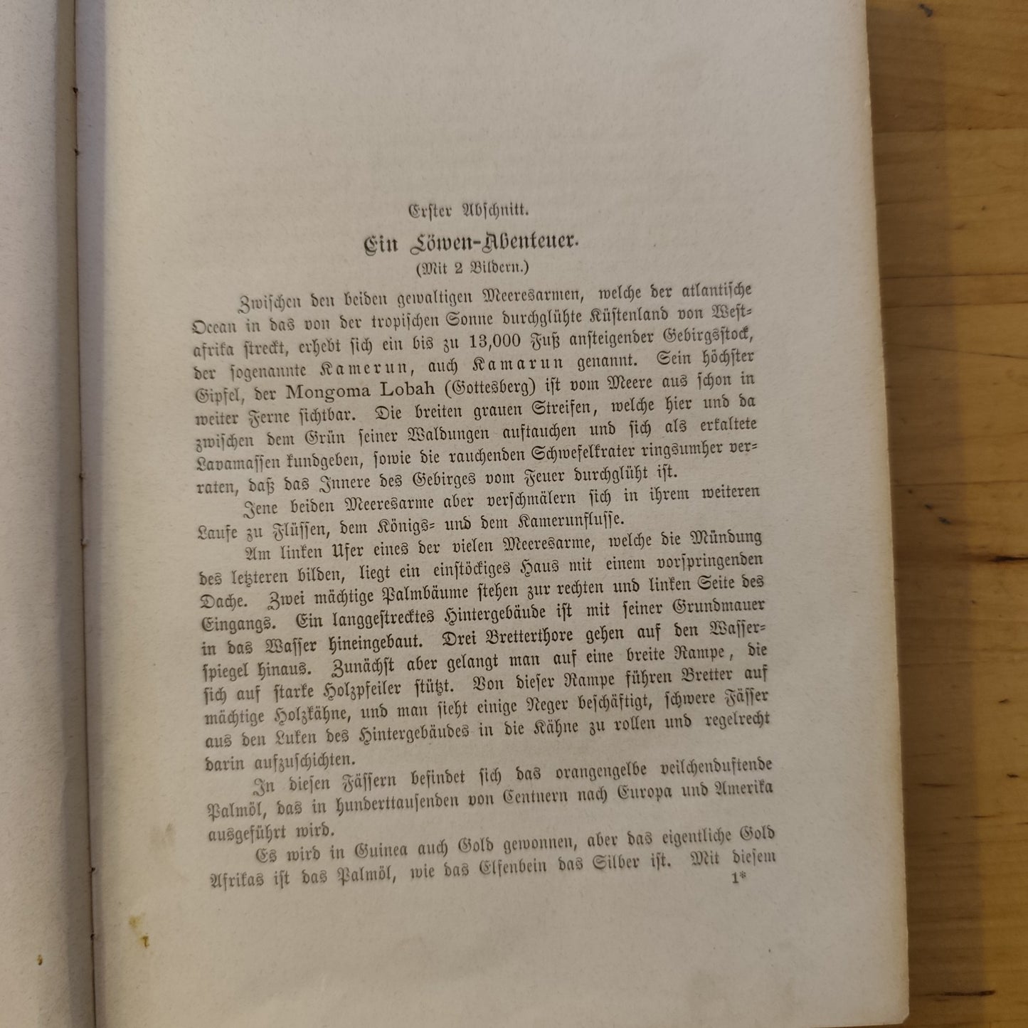 Die Ansiedler in Kamerun und die Schätze des Schiffes, Waldemar, k. Zastrow '800