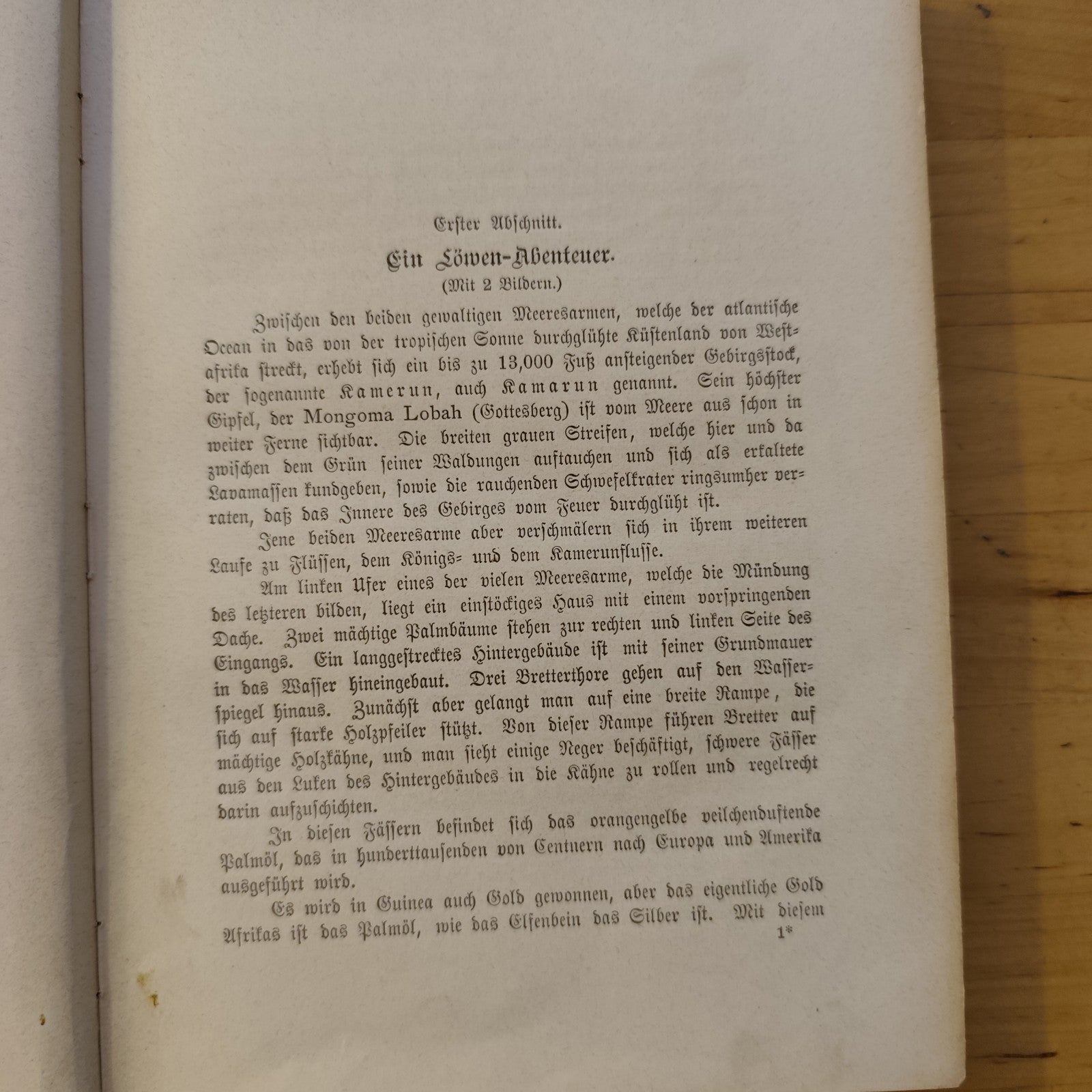 Die Ansiedler in Kamerun und die Schätze des Schiffes, Waldemar, k. Zastrow '800