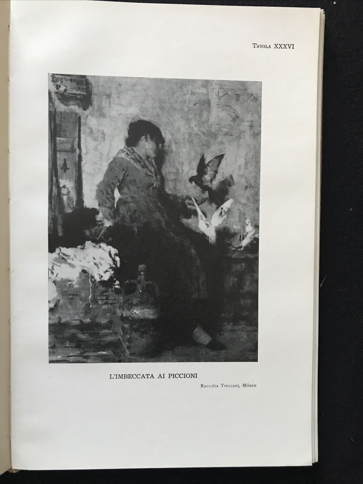 GIACOMO FAVRETTO, Enrico Somaré, Mondadori