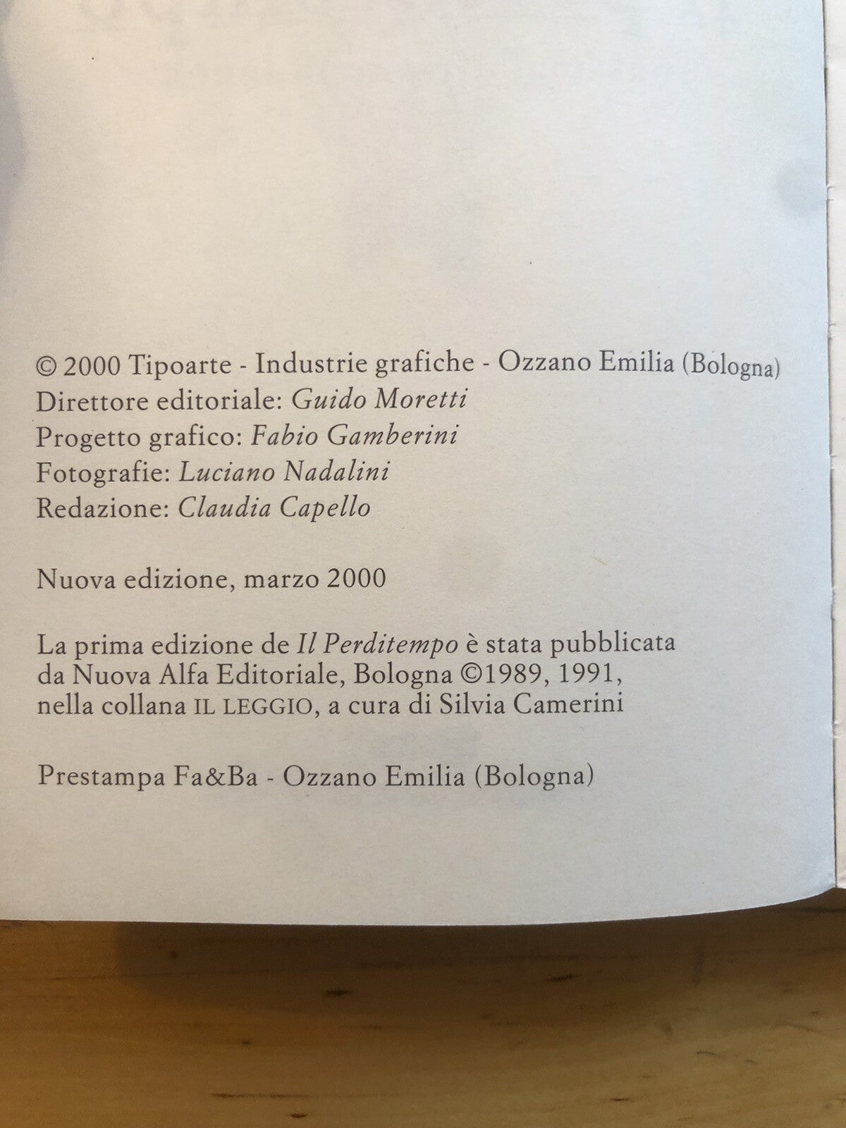 Il perditempo passeggiate per Bologna, Eugenio Riccomini - Tipoarte 2000