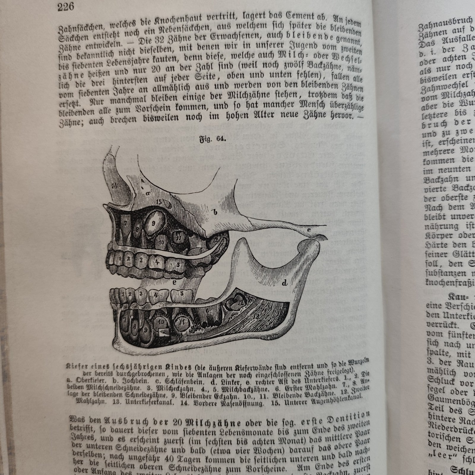Das Buch vom Gesunden und kranken menschen - Ernst Bock 1889 Antico testo medico