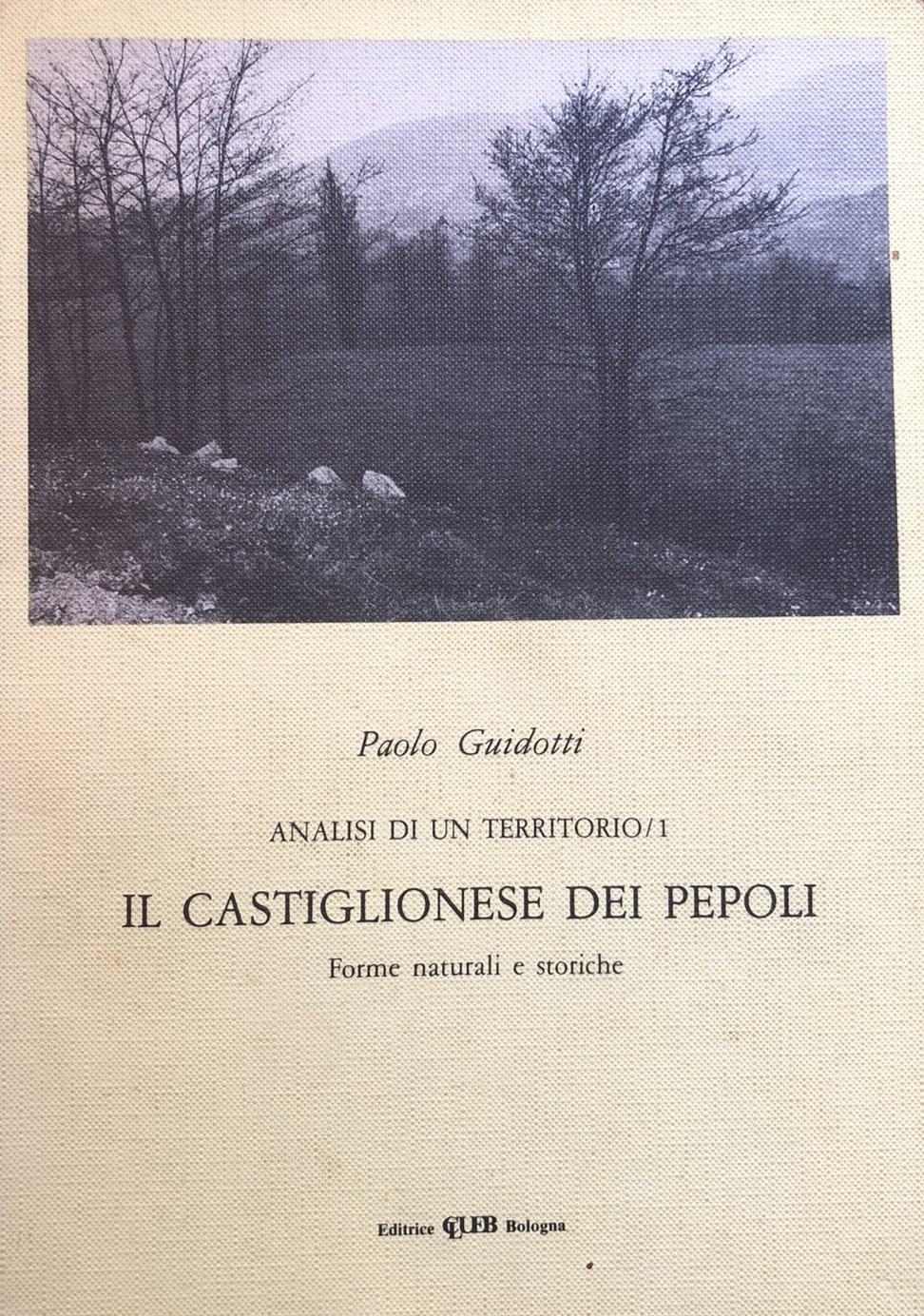 Il Castiglionese dei Pepoli (Castiglione dei Pepoli Bologna) Paolo Guidotti 1982