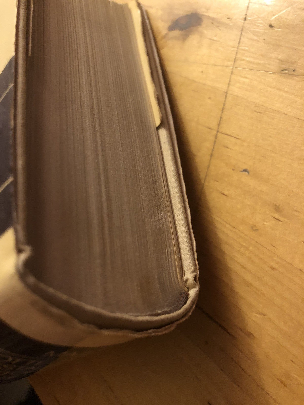 Lotte sociali e restaurazione autoritaria nel III secolo d.c. Mario Mazza, 1973