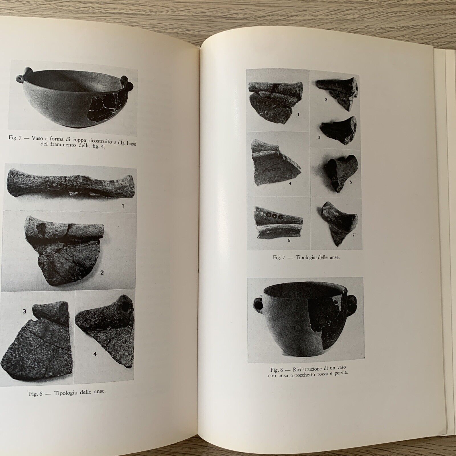 STUDI ROMAGNOLI XXII 1971, SOCIETÀ DI STUDI ROMAGNOLI, FRATELLI LEGA EDITORI #