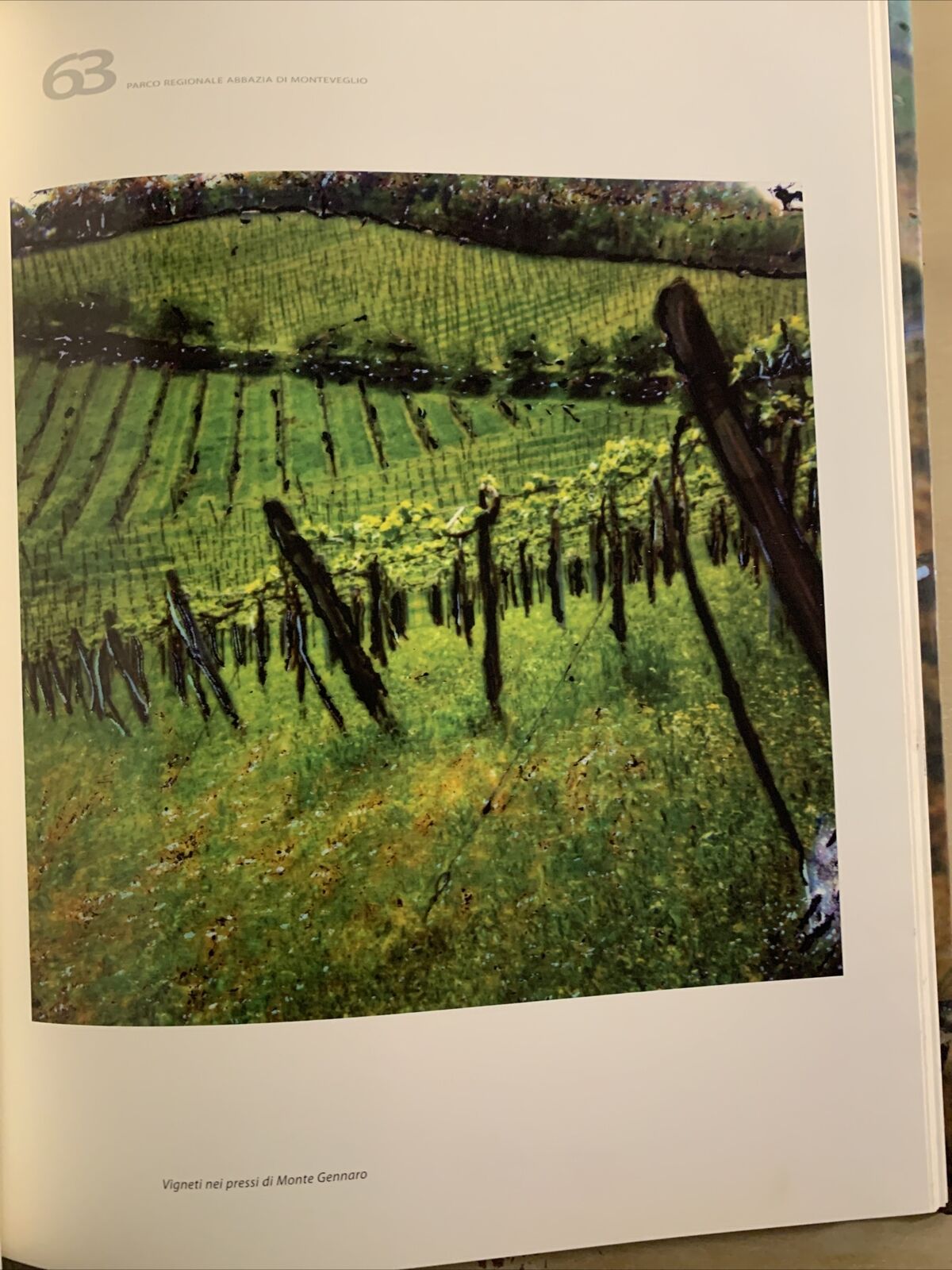 PAESAGGI INFEDELI - NINO MIGLIORI, DAMIANI 2008 #