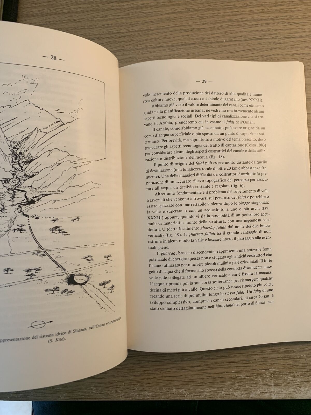 L'UOMO E L'AMBIENTE NELLA PENISOLA ARABA. PAOLO M. COSTA 1991 accademia Lincei