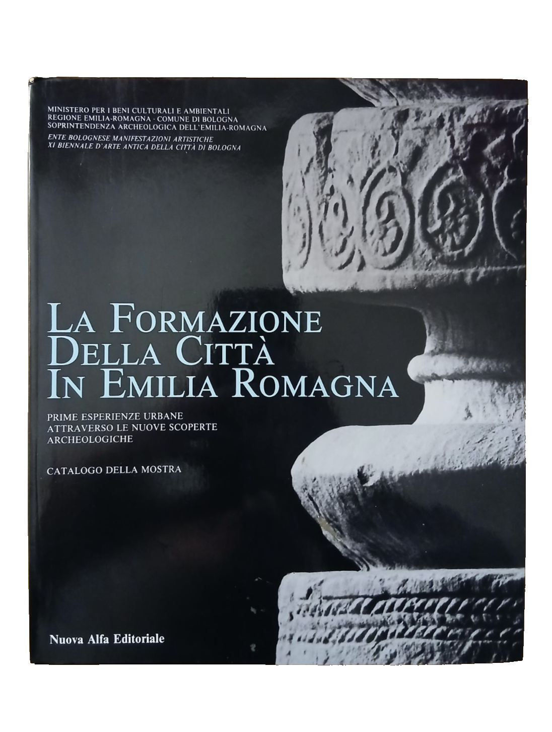 La formazione della città in Emilia Romagna, Nuova Alfa Editoriale 1987