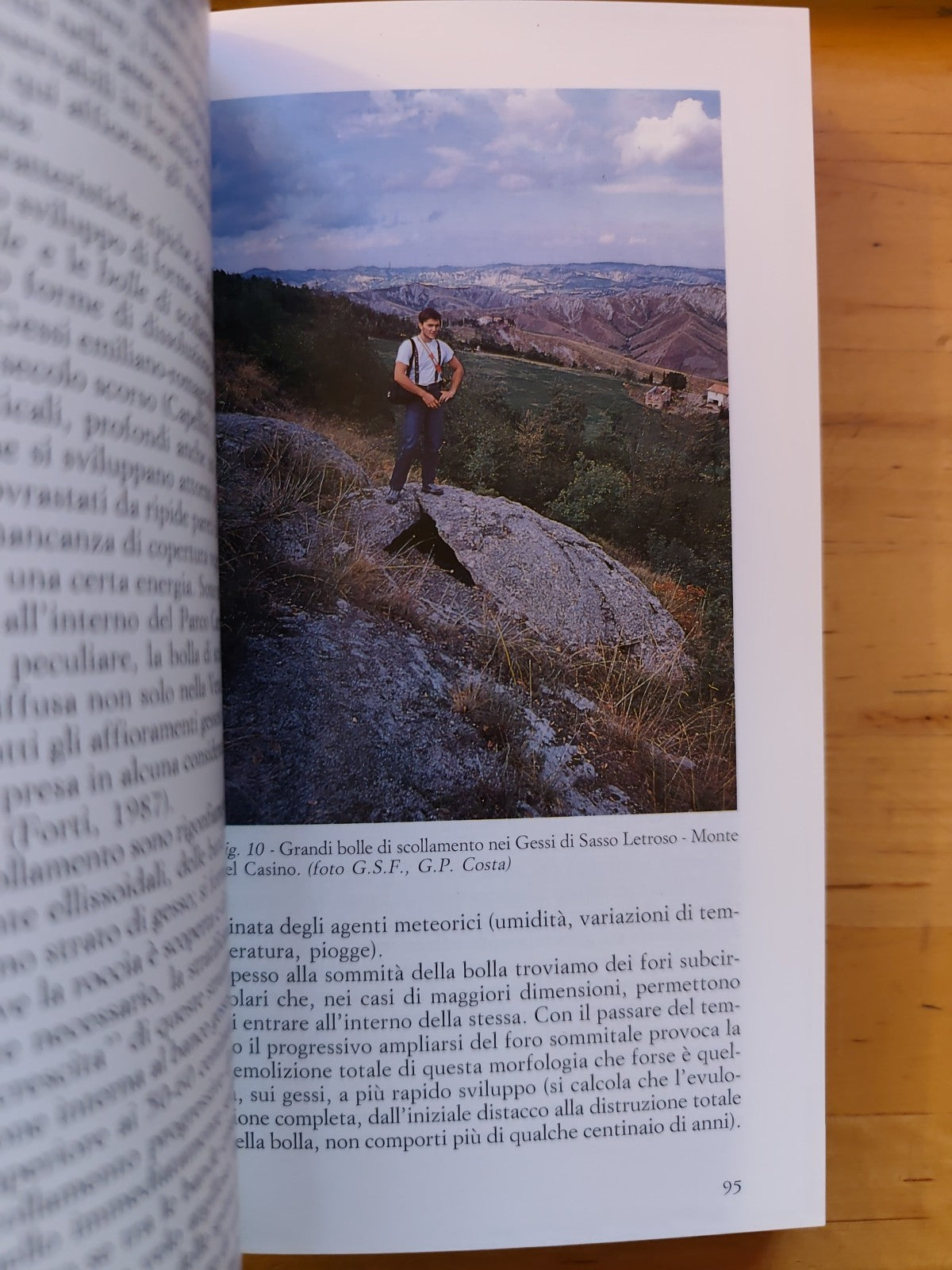 La vena del Gesso Bologna - Regione Emilia Romagna, U. Bagnaresi 1994