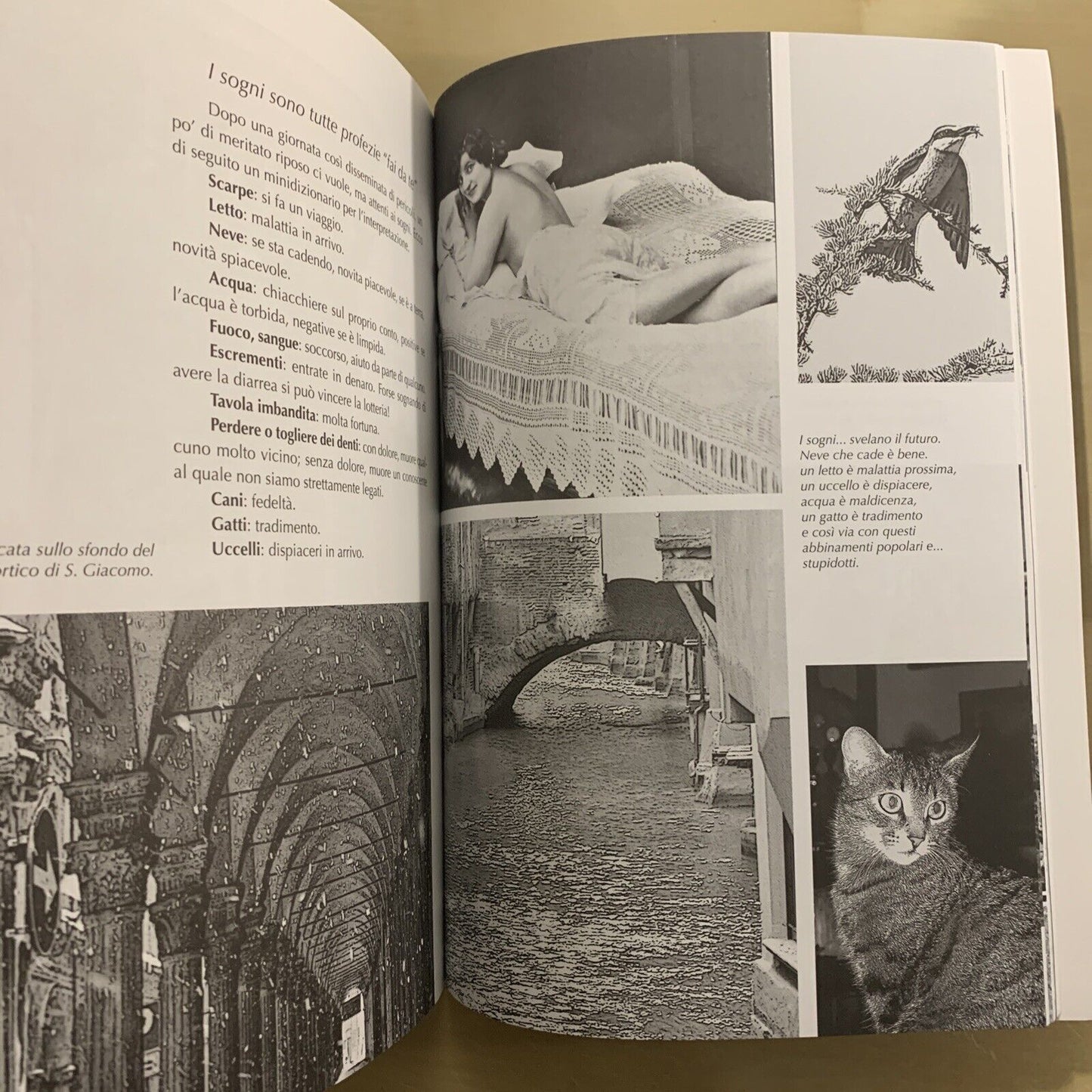 BOLOGNA CON MAGIA - Tiziano Costa, Costa editore collana c'era Bologna 2014 #