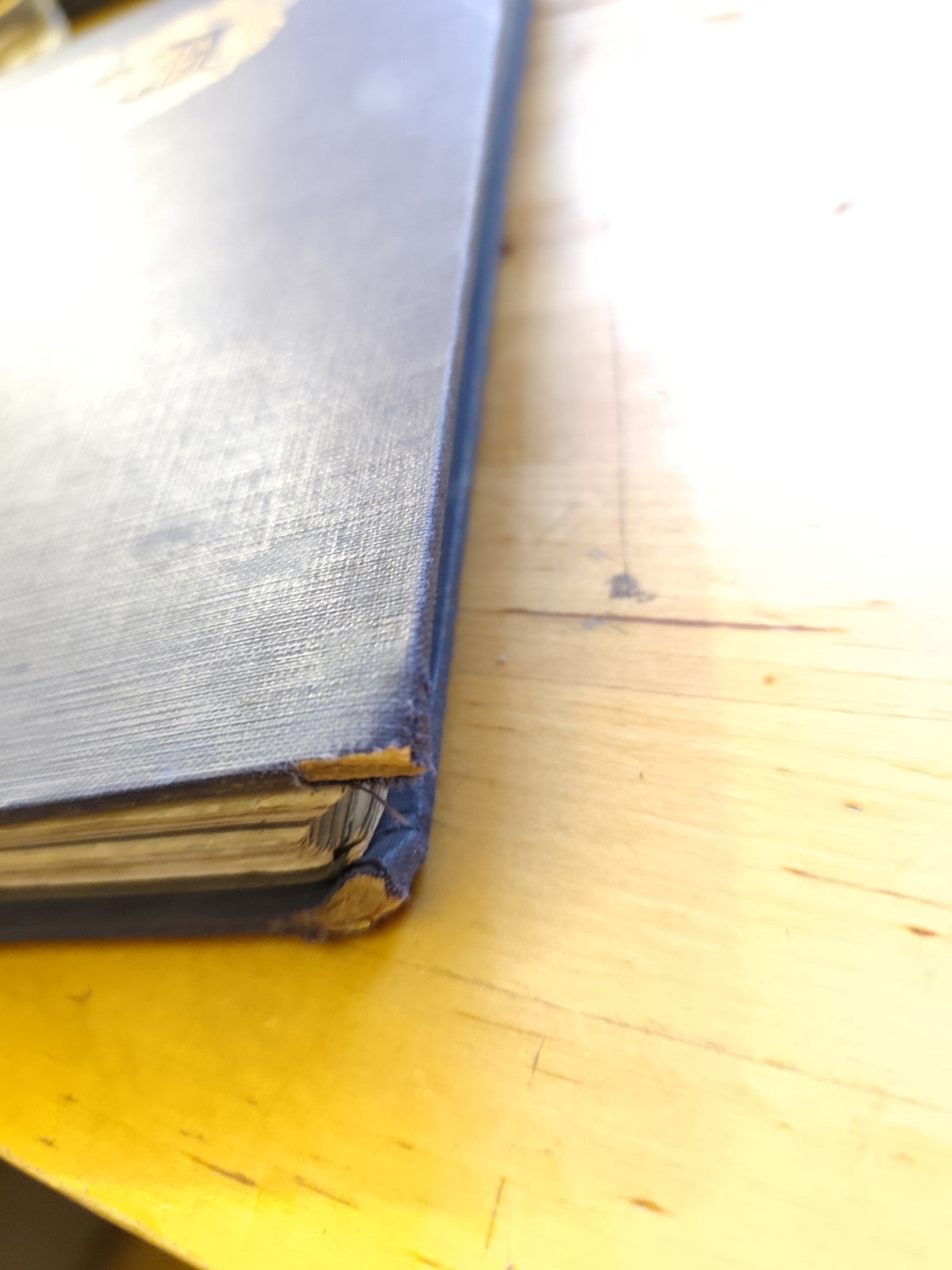 La Galleria degli Uffizi Corrado Ricci Istituto d'Arti Grafiche Bergamo 43 tavv.