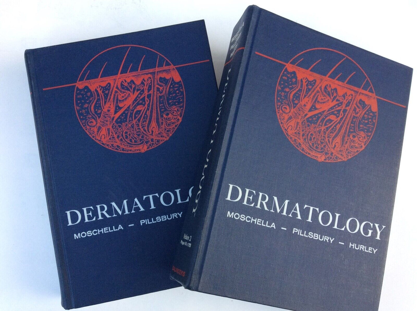 DERMATOLOGY MOSCHELLA PILLSBURY HURLEY SAUNDERS COMPANY TWO VOLUMES