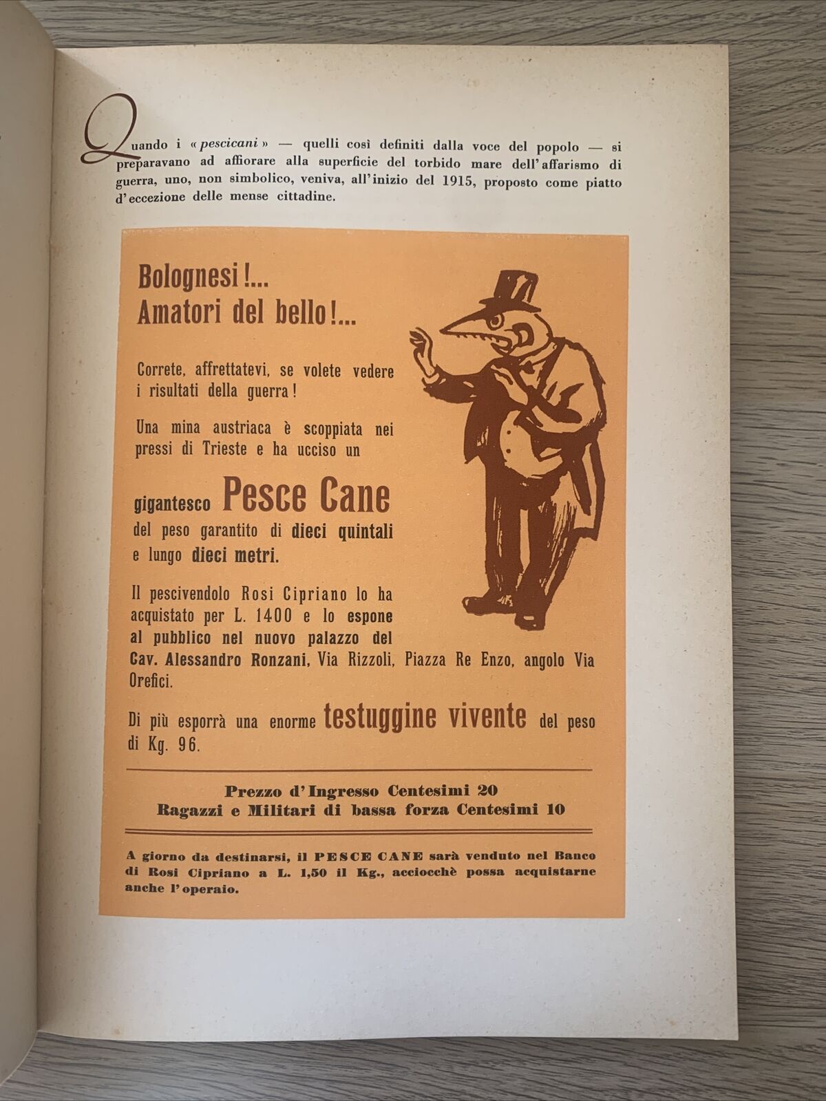 BOLOGNA LA GRASSA, Cervellati Alessandro 1960 #