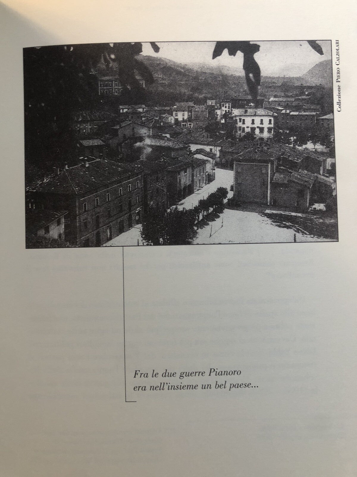 Fascismo e guerra a Pianoro (1920-1946) Luca Pastore, I Quaderni della Memoria