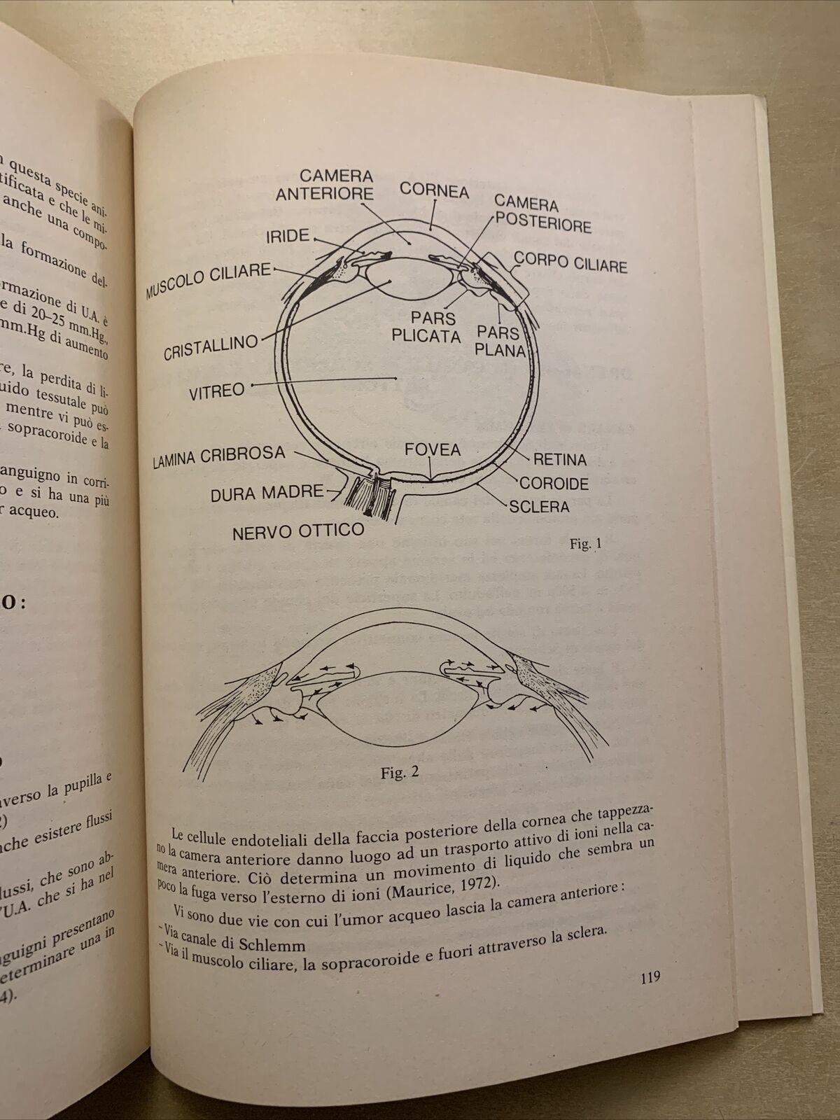 Circolazione oculare e dinamica dei liquidi oculari - Severino Cioli 1981 Nobili