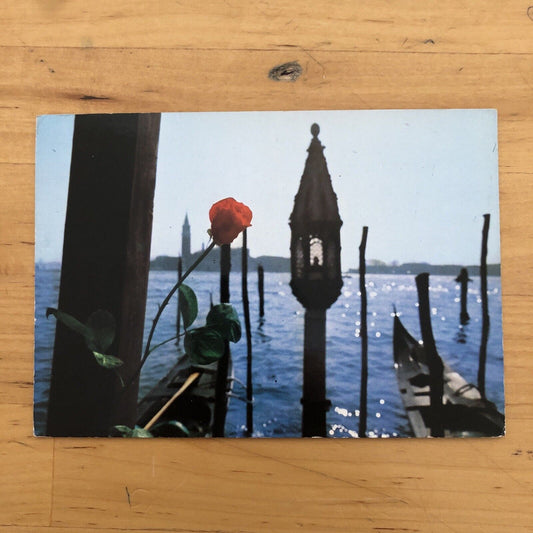 Cartolina VENEZIA - VIAGGIATA