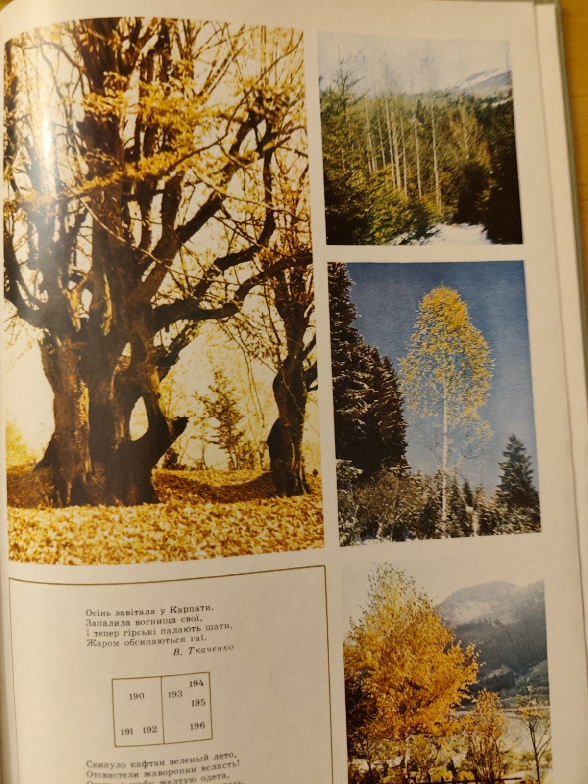 Ucraina fotografico Carpazi, lingua madre 1973 Karpaty editore Komendar, Fedaka