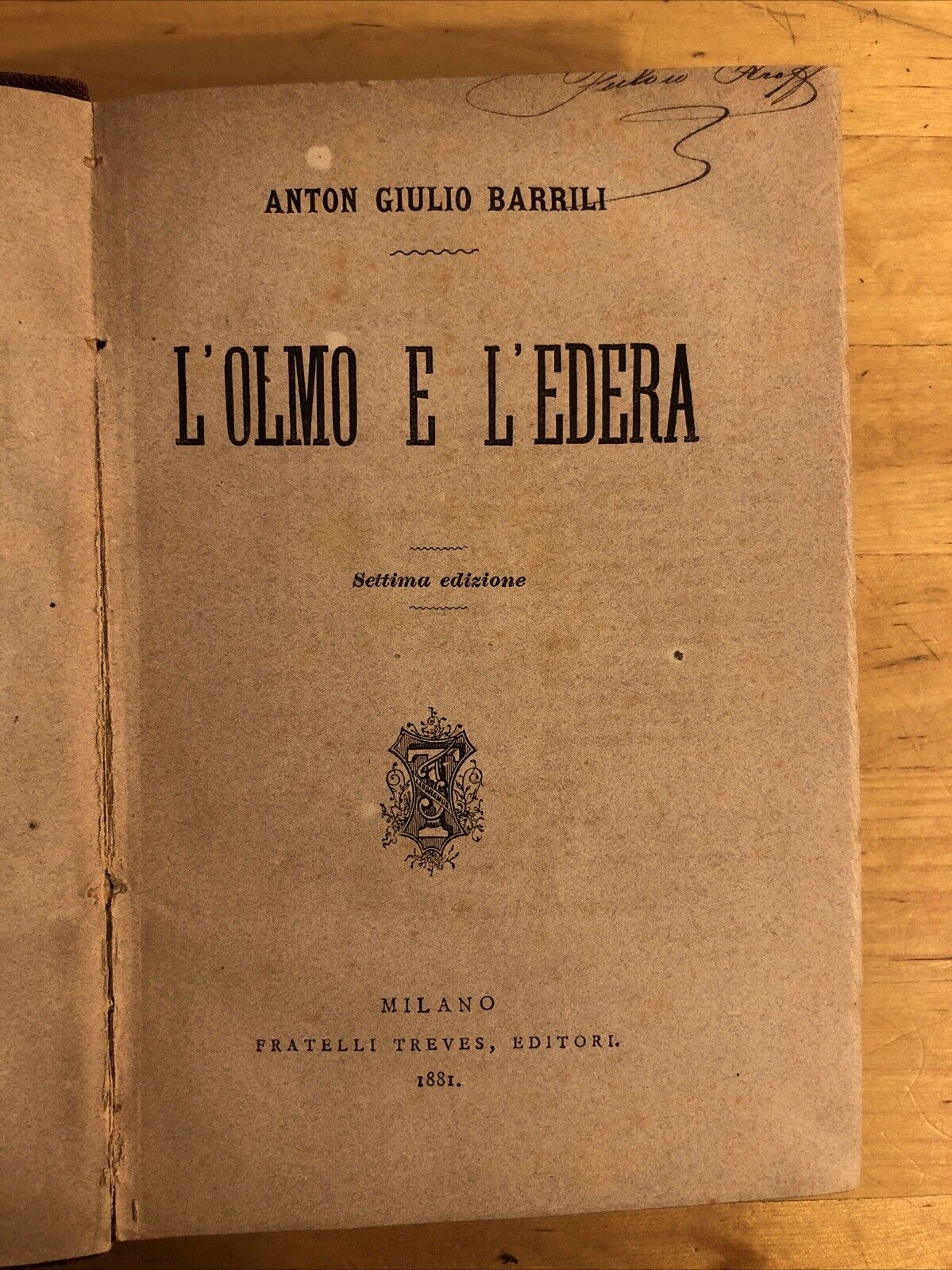 L'OLMO E L'EDERA - ANTON GIULIO BARRILI 1881 TREVES