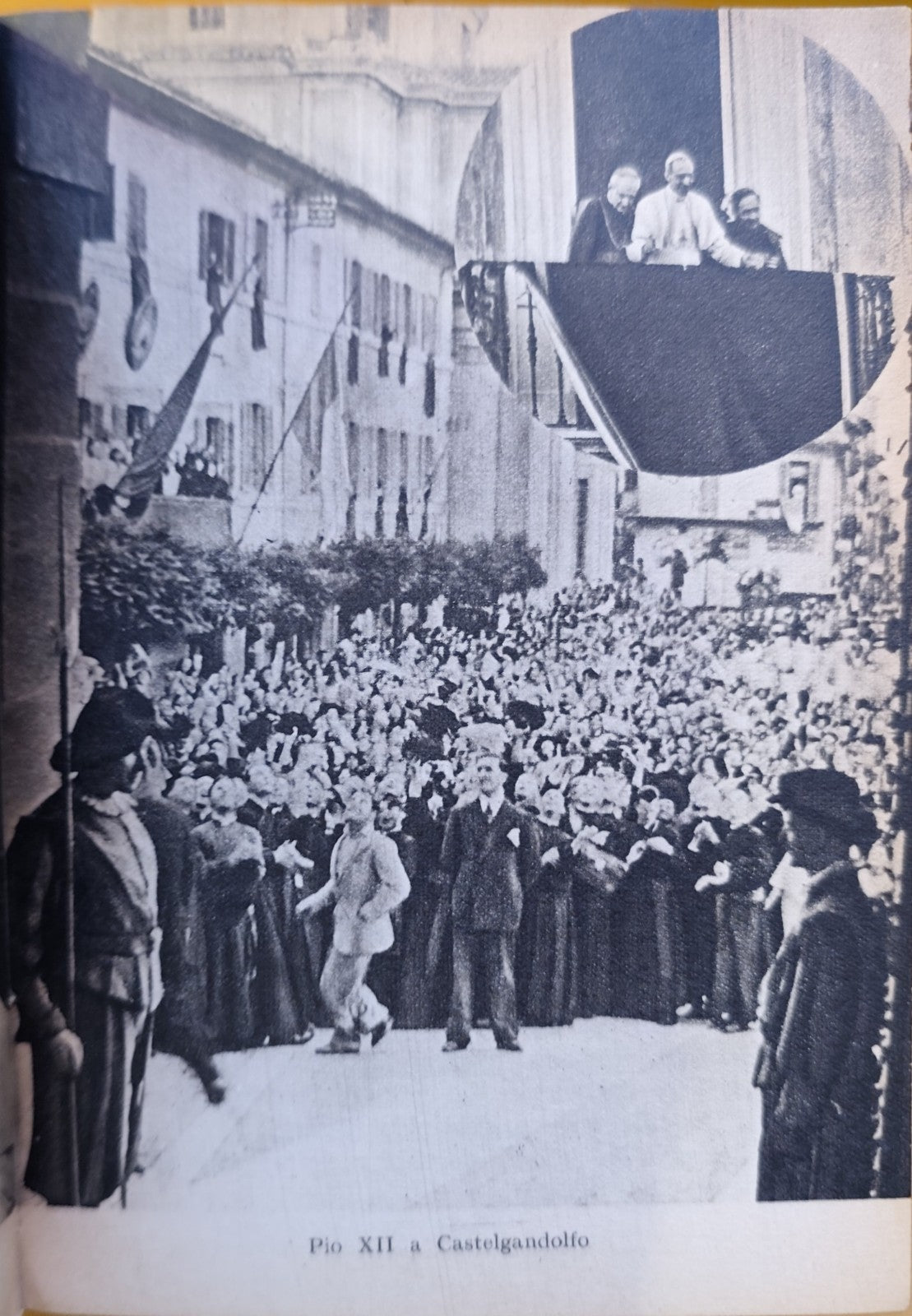 Pio XII Lamberto de Camillis, Libreria editrice Coletti 1942