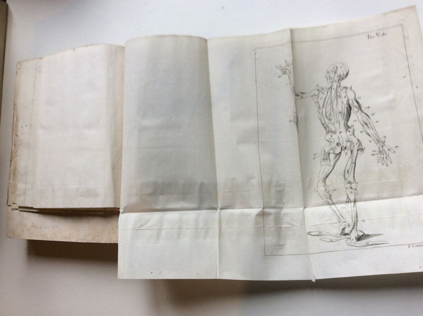 ESPOSIZIONE ANATOMICA DELLA STRUTTURA DEL CORPO UMANO, WINSLOW, 1767, 2 tomi