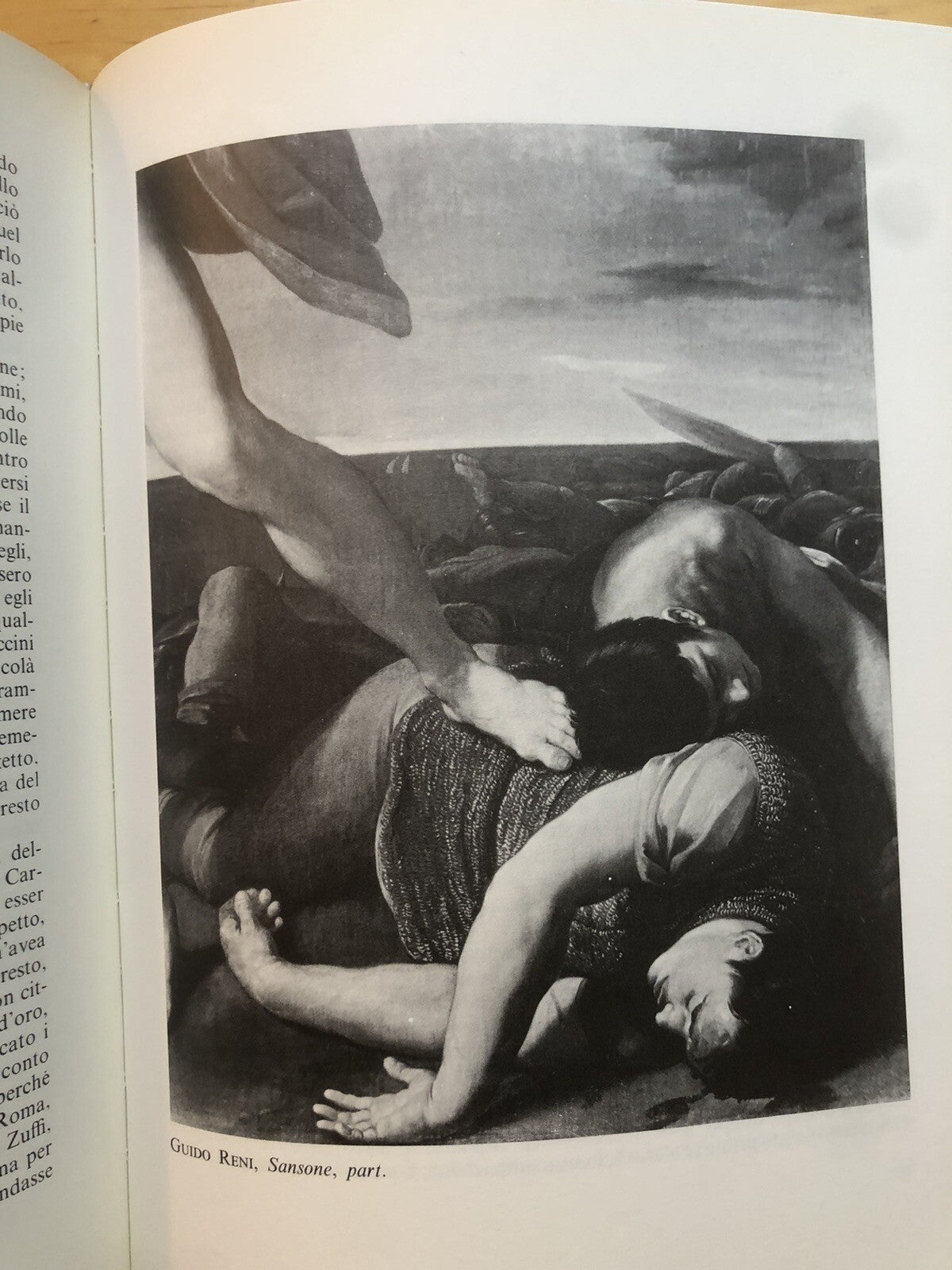Vite dei pittori bolognesi - Carlo Cesare Malvasia. Edizioni Alfa Bologna 1971