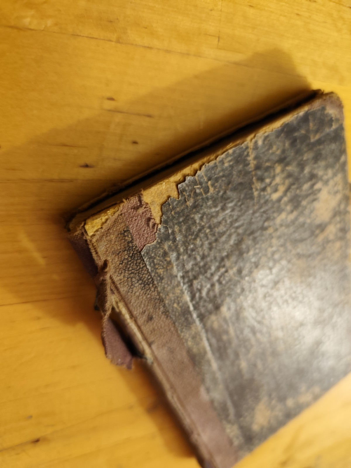 Novelle Morali di Francesco Soave ad uso de' fanciulli - n.d. 1880 ca.
