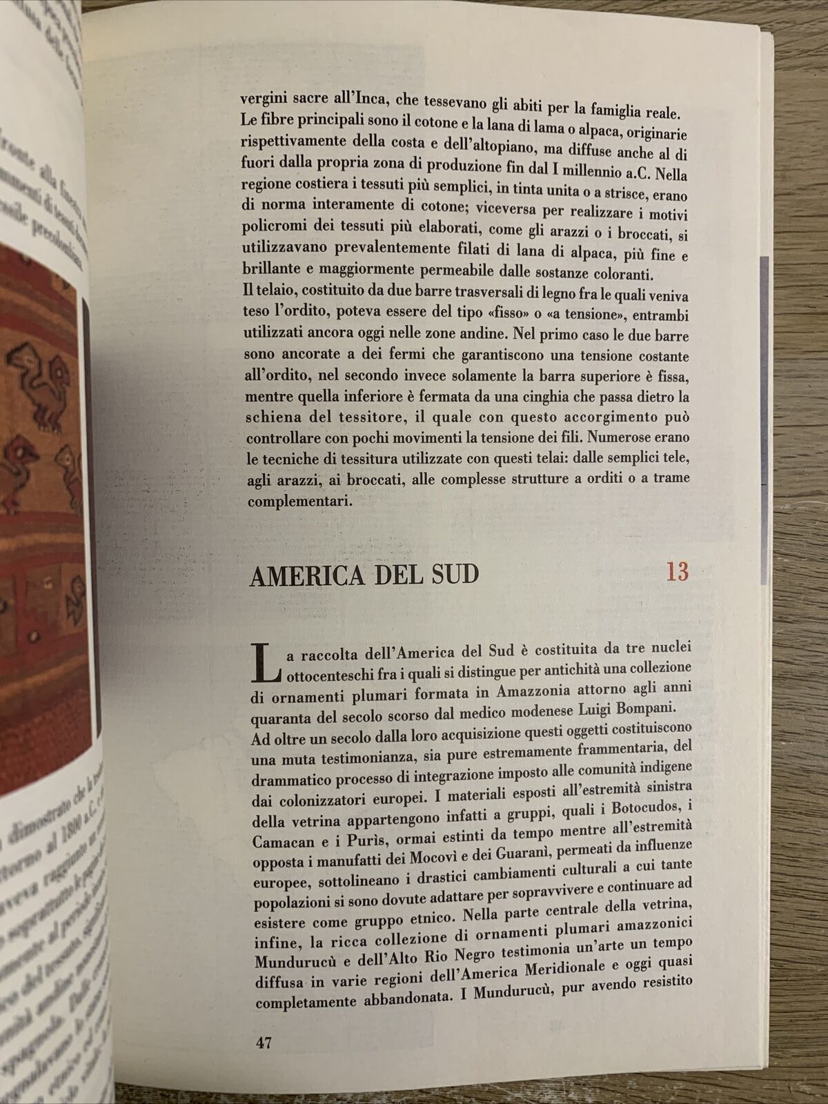 Museo archeologico etnologico di Modena. Comune di Modena