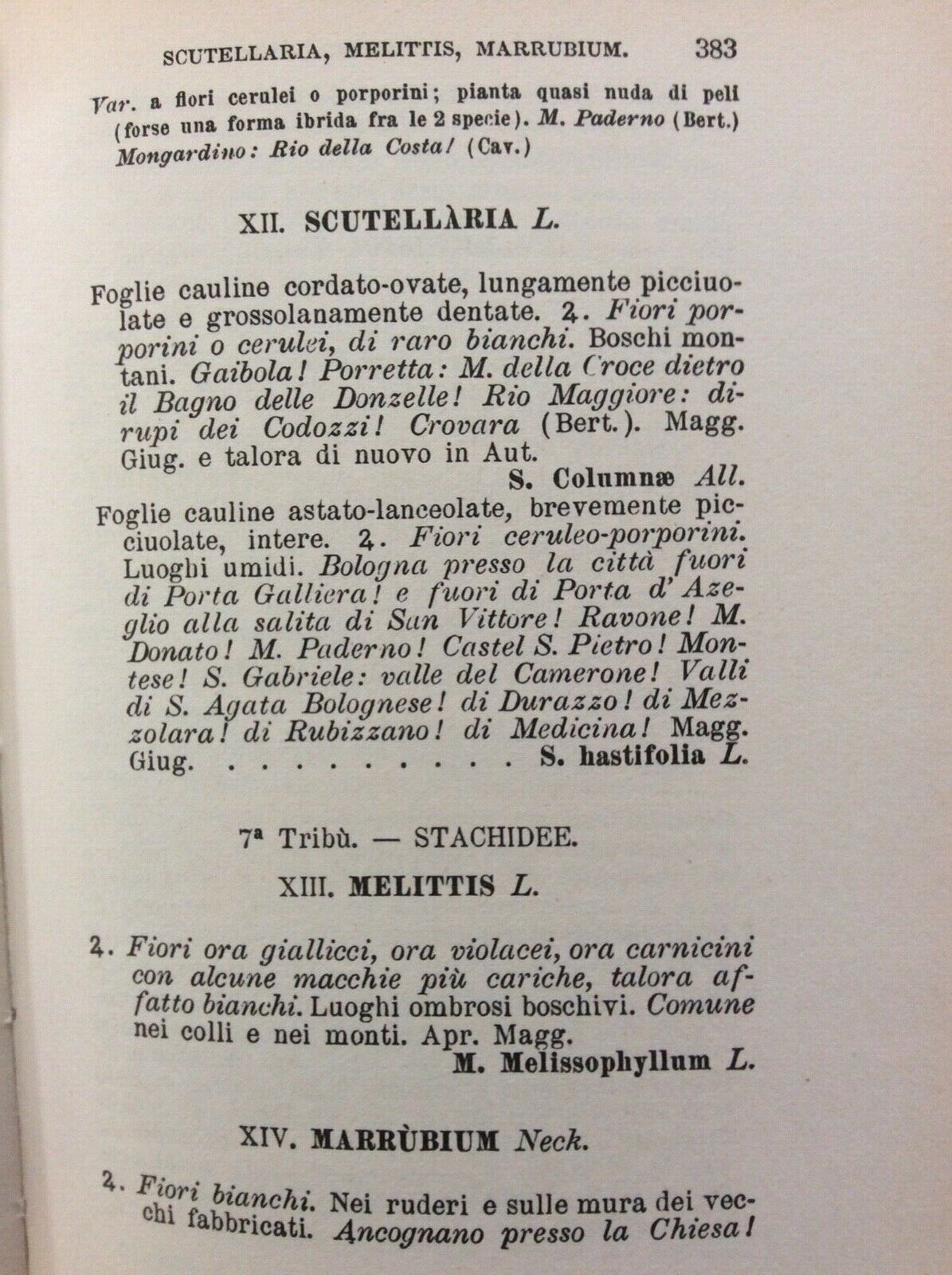 FLORA DELLA PROVINCIA DI BOLOGNA GIROLAMO COCCONI FORNI EDITORE anastatica