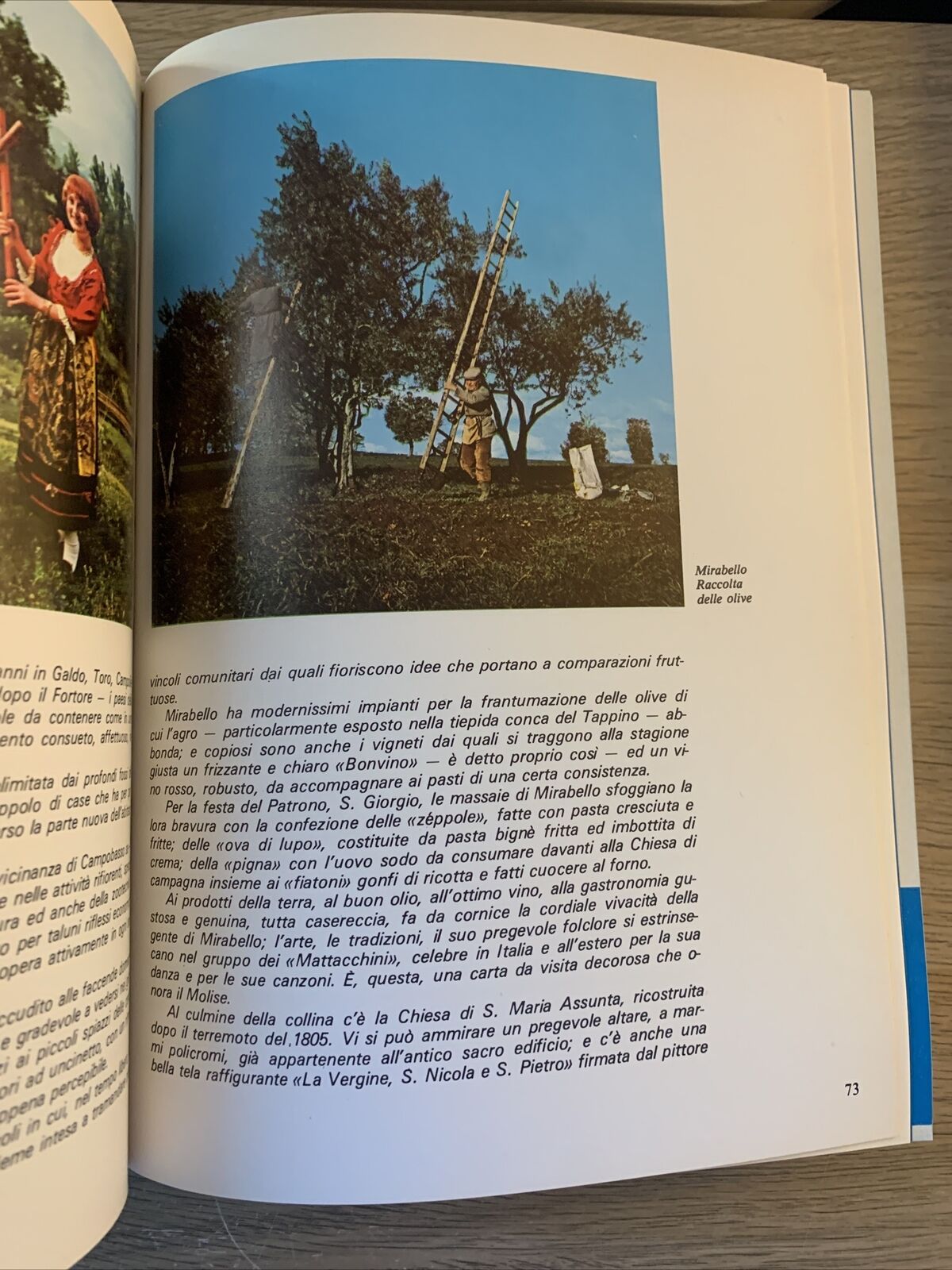 Almanacco del Molise 1978. Enzo nocera editore
