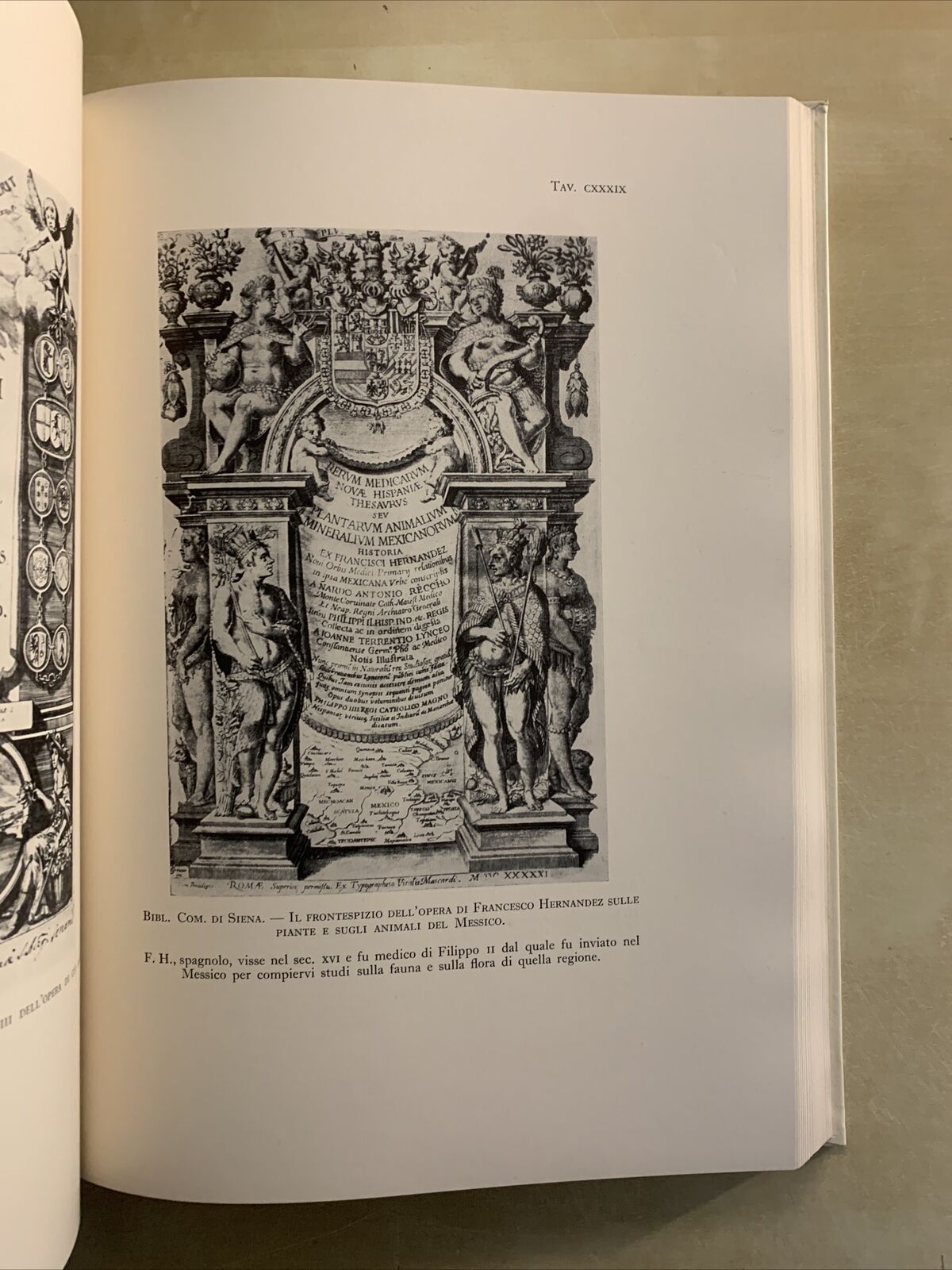 INTER ARTIUM ET MEDICINAE DOCTORES - ALCIDE GAROSI. OLSCHKI EDITORE #