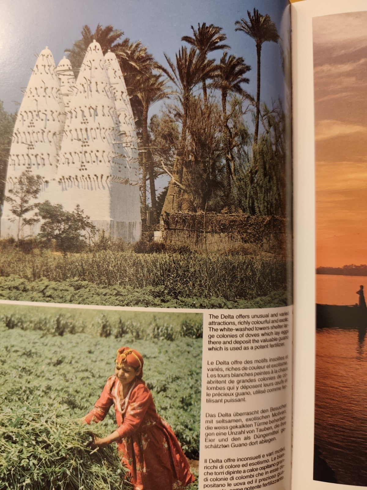 Egypt, Al Ahram - Cairo, Dino Sassi. Kina editore 1989 eng fra ita deutsc, Foto