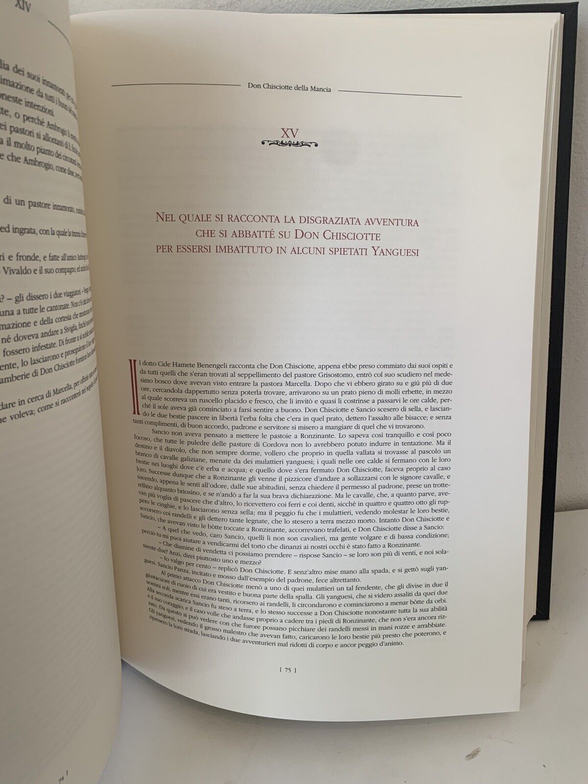 Don Chisciotte della Mancia, Art'e' edizione Lusso, Matias Quetglas, Cervantes