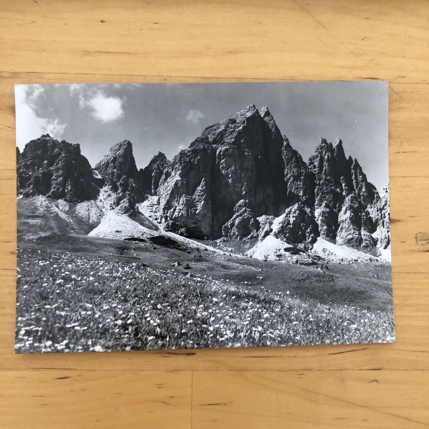 Cartolina PASSO GARDENA - GRODNERJOCH, GRUPPO DI CIR non  viaggiata