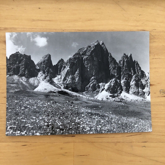 Cartolina PASSO GARDENA - GRODNERJOCH, GRUPPO DI CIR non  viaggiata