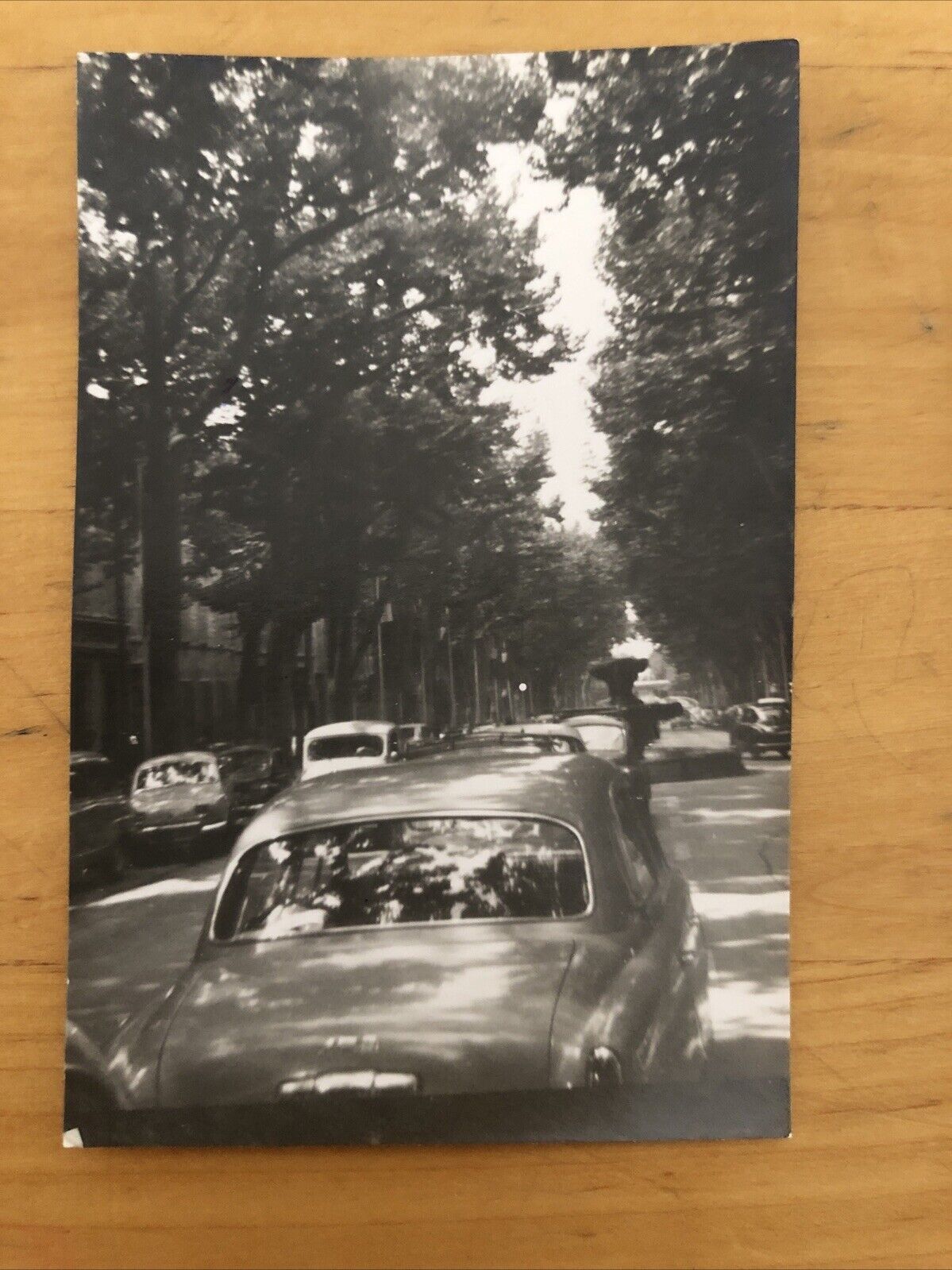 Fotografie AIX EN PROVENCE fontana - viale. anni '50