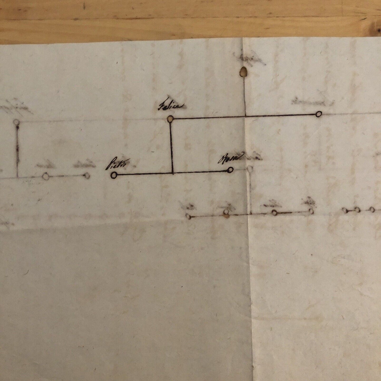 GENEALOGIA ALBERO GENEALOGICO disegnato amano, no datato inizi '800