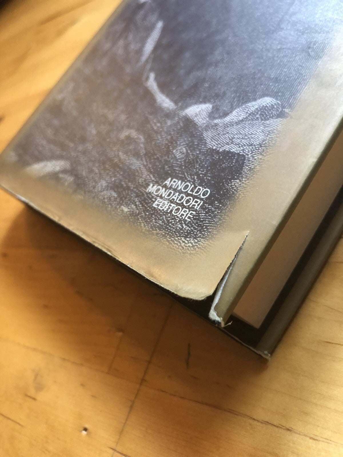 Tra la perduta gente, Enzo Fontana - Mondadori 1996