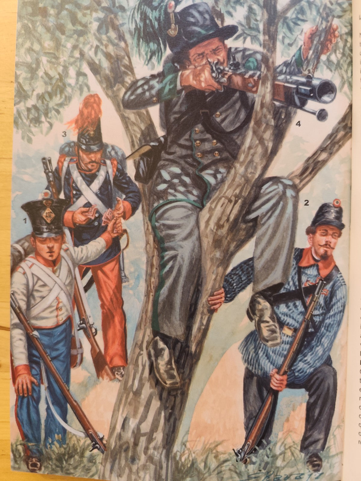 Gli eserciti del risorgimento italiano 1848-1870, Esposito Soldati Arte Militare