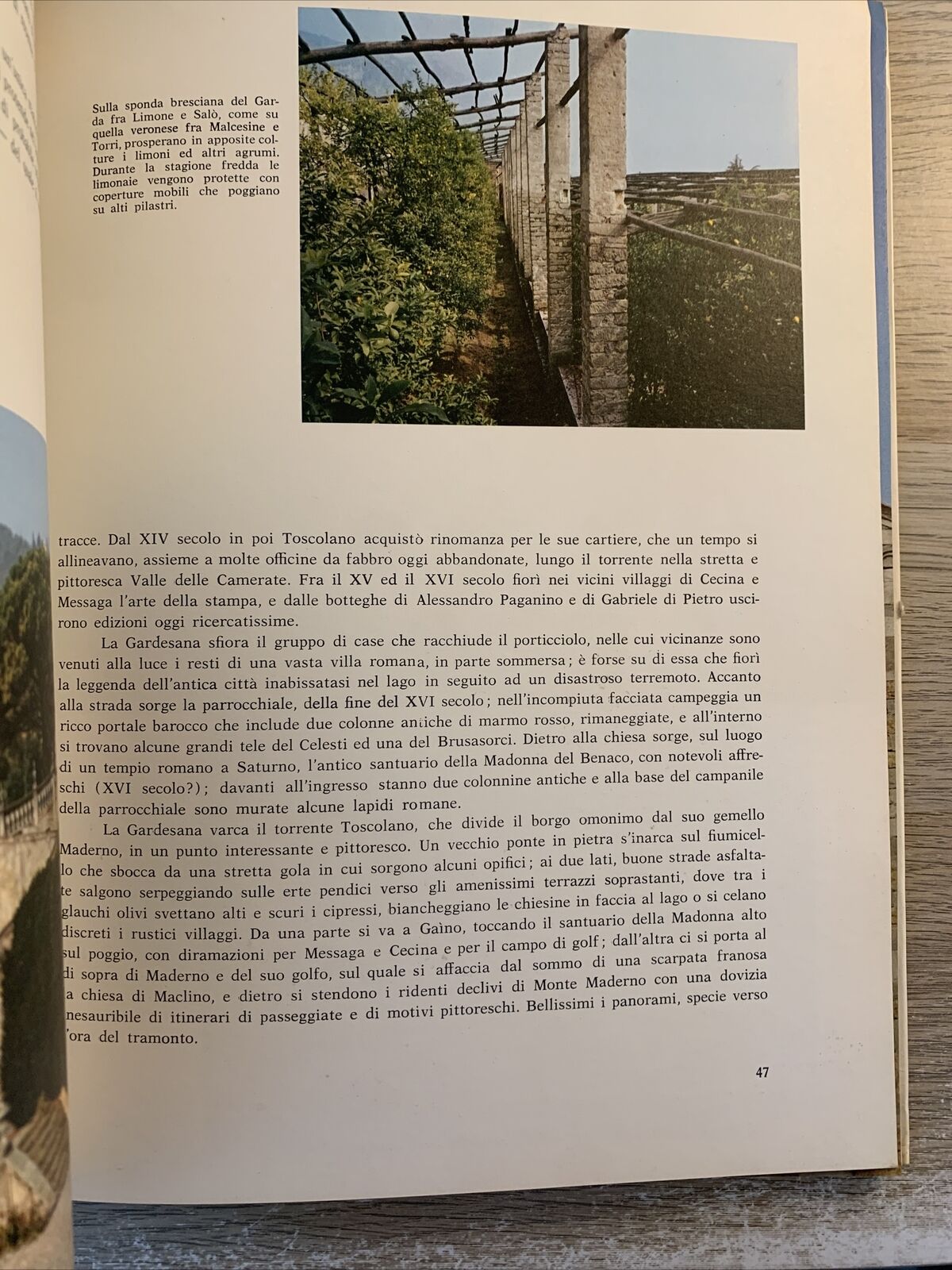 Il Lago Di Garda - Edizioni Manfrini 1967