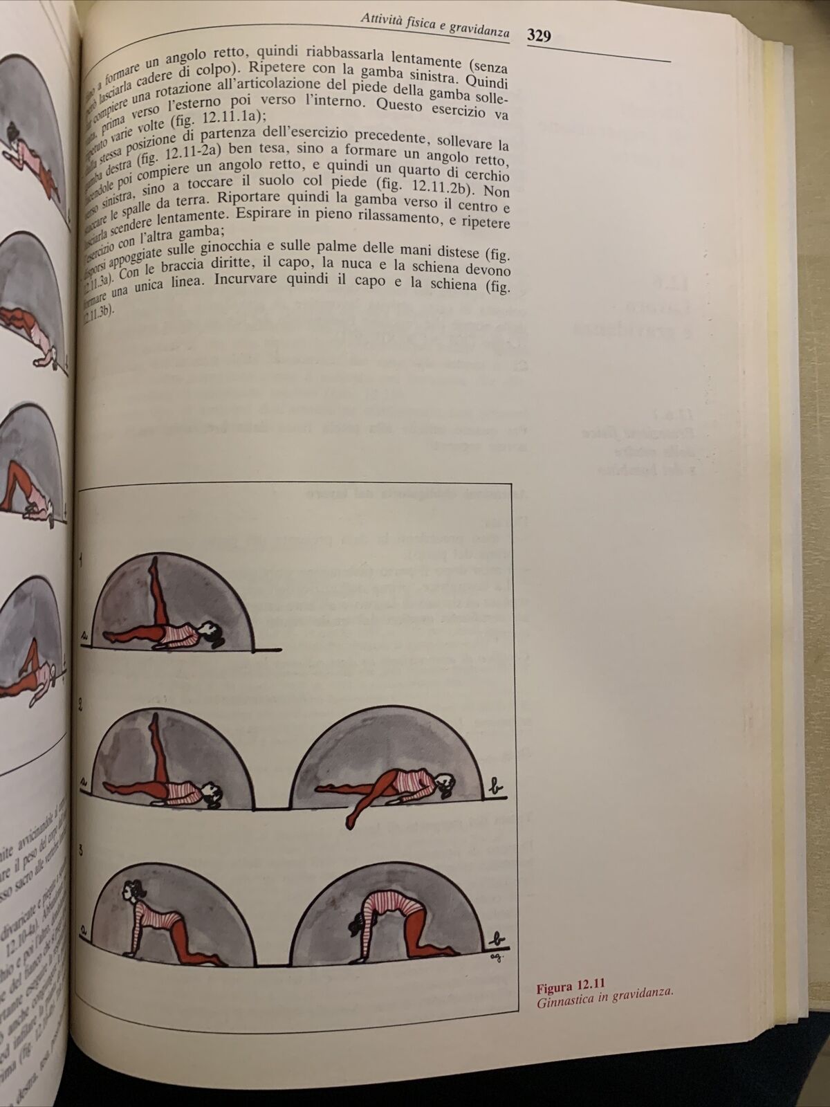 GINECOLOGIA OSTETRICIA terapia medica - Guerresi Gori, Editoriale Grasso 1982 #