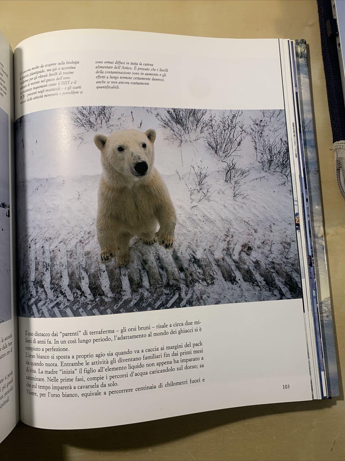 ARTICO - Brando Quilici, Una frontiera della Natura. Touring Club Italiano #